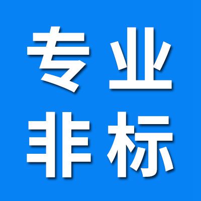 專業非標軸承制造