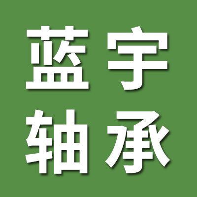 藍(lán)宇不銹鋼軸承