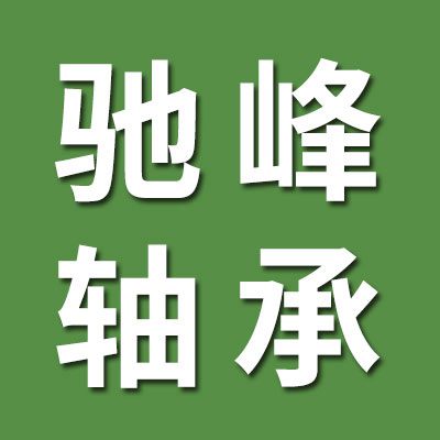 馳峰電機(jī)軸承 970高溫軸承