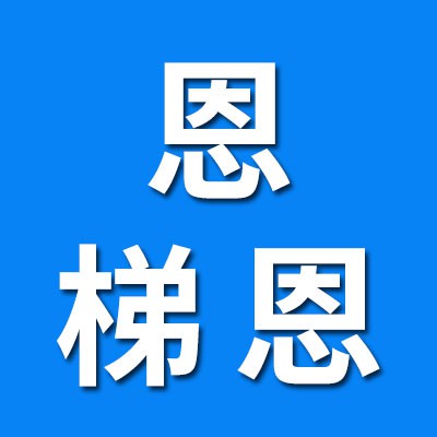 恩梯恩動力機(jī)械（聊城分公司）